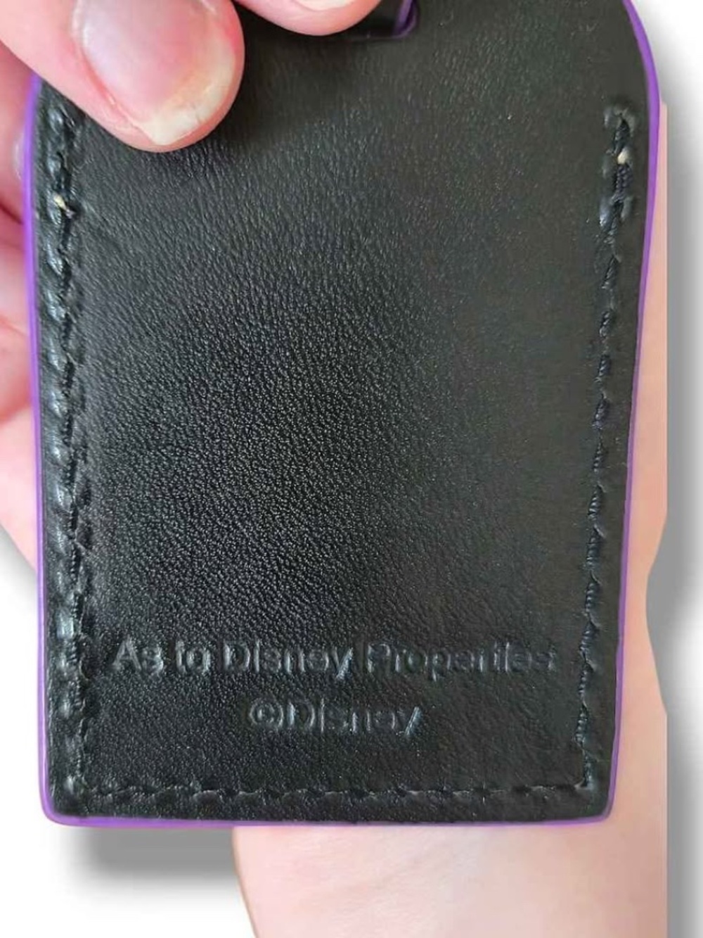 Dooney & Bourke Disney's Hunchback of Notre Dame Crossbody Purse - Picture 7 of 9